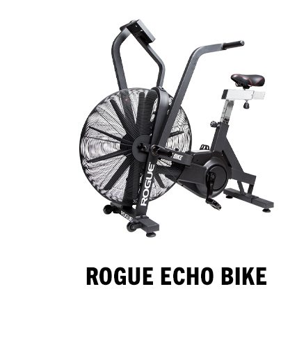 Echo Bike