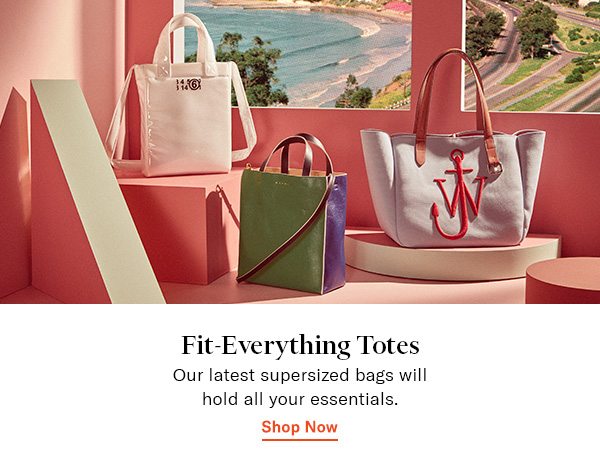 Fit Everything Totes