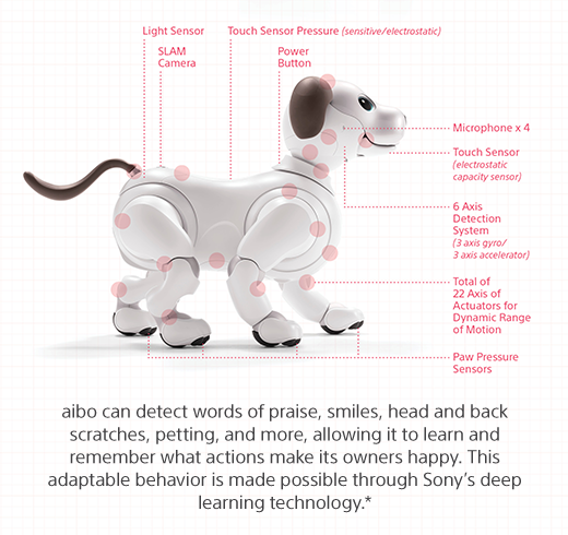 aibo can detect words of praise, smiles, head and back scratches, petting and more, allowing it to learn and remember what actions make its owners happy. This adaptable behavior is made possible through Sony's deep learning technology.*