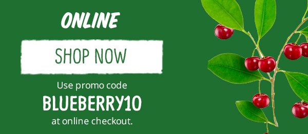 Online Offer