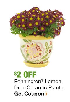 $2 OFF PENNINGTON LEMON DROP CERAMIC PLANTER