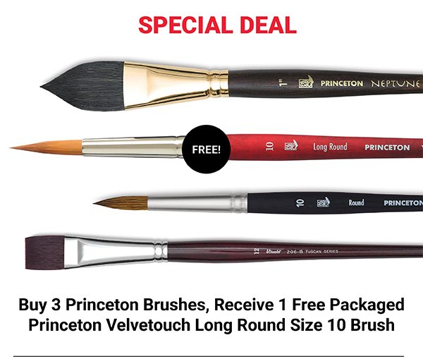 Buy 3 Princeton Brushes, Receive 1 Free Packaged Princeton Velvetouch Long Round Size 10 Brush