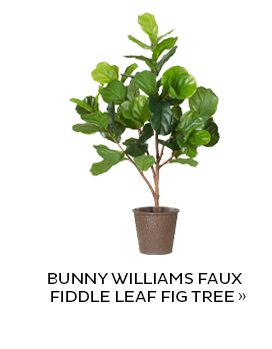 Bunny Williams Faux Fiddle Leaf Fig Tree