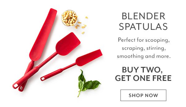 Blender Spatula