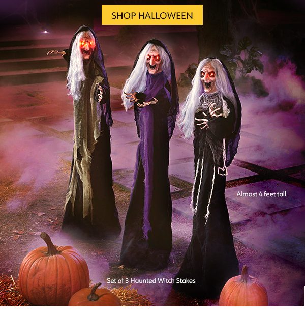 Halloween is Brewing, Stir up screams and scares with new décor. Shop Now