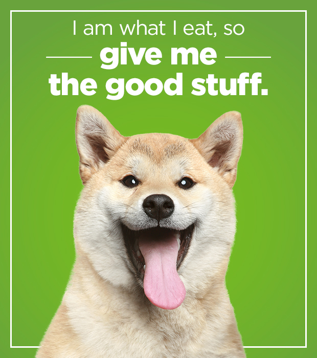 I am what I eat, so give me the good stuff.