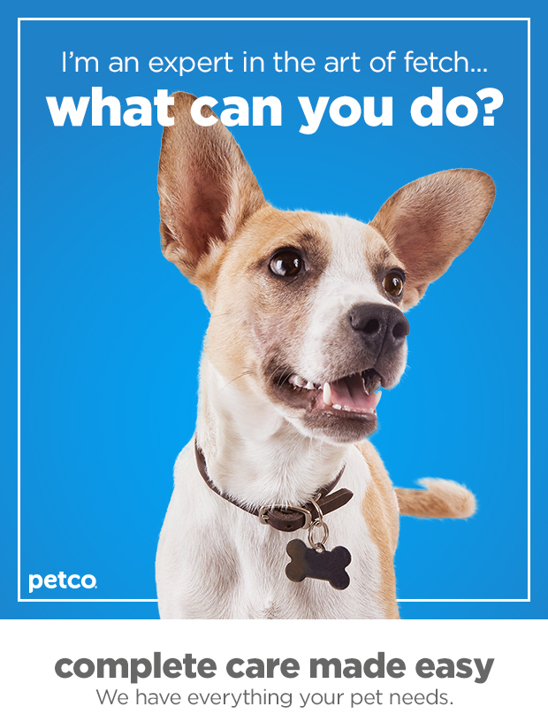 I'm an expert in the art of fetch... what can you do? 