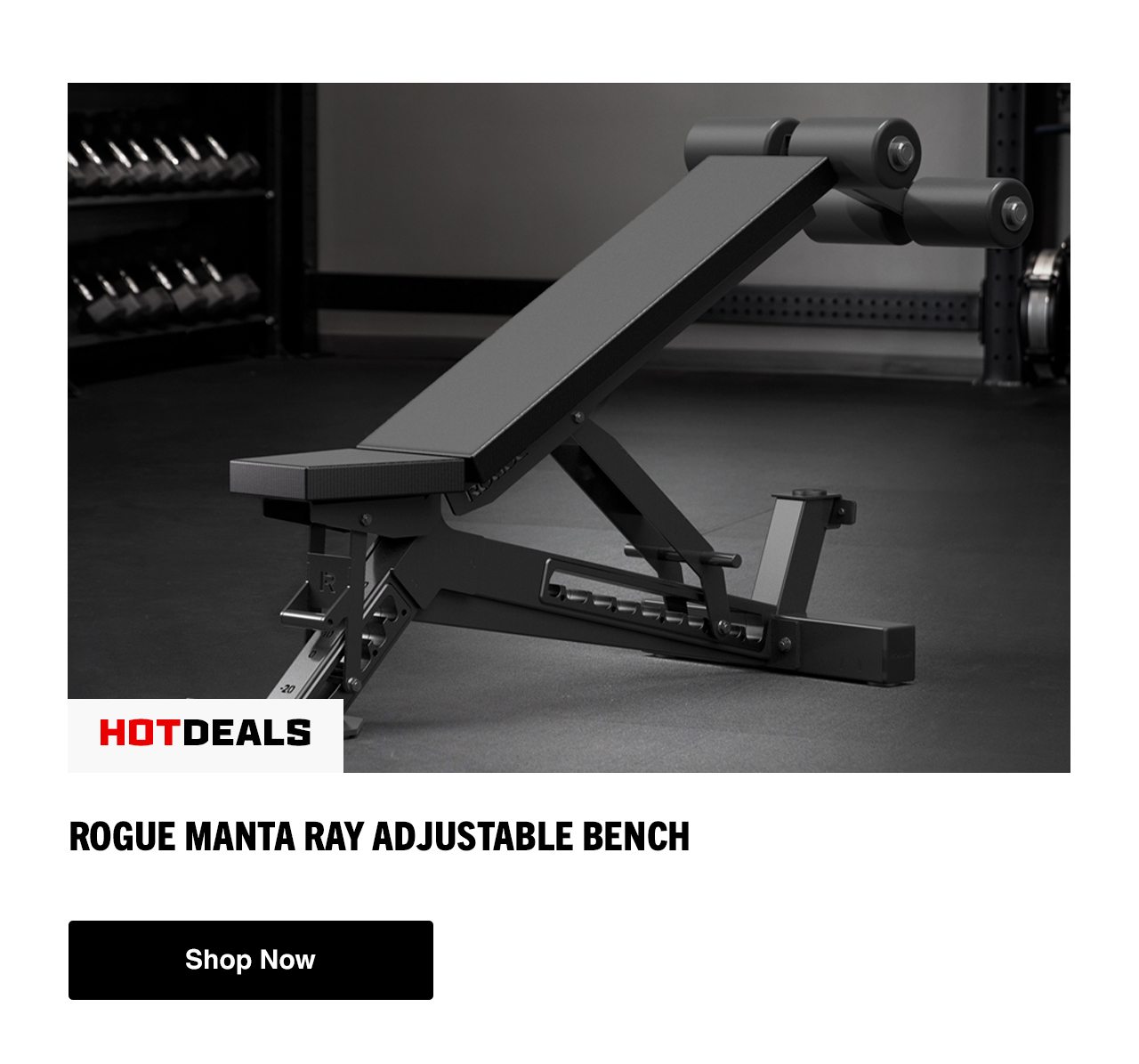 Rogue Manta Ray Adjustable Bench