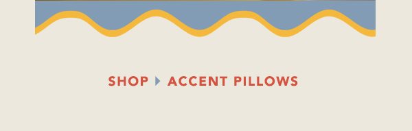 shop accent pillows