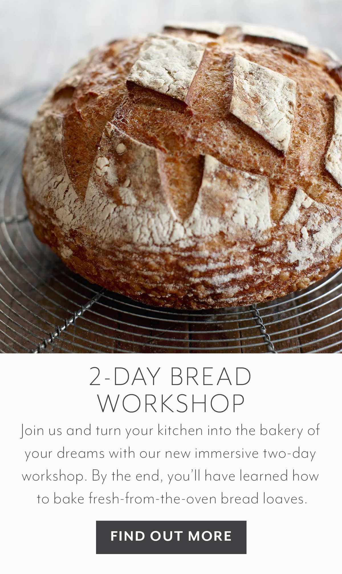 Online 2-Day Bread Workshop (Eastern Time) 