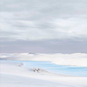 David Burdeny