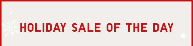 HEADER 1 - HOLIDAYS SALE OF THE DAY