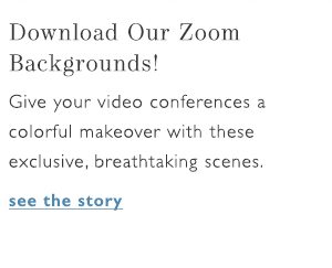 Download our Zoom backgrounds.