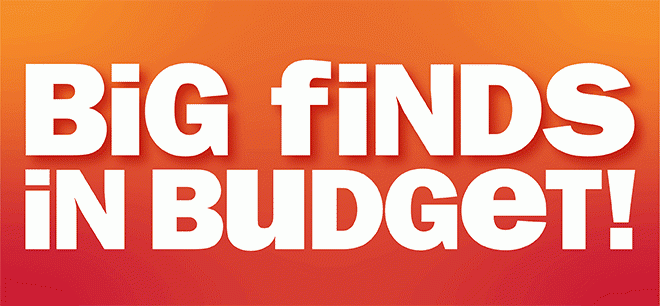 big finds in budget!