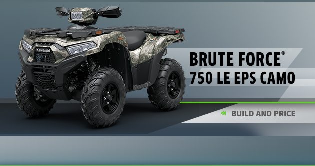 BRUTE FORCE® 750 LE EPS CAMO