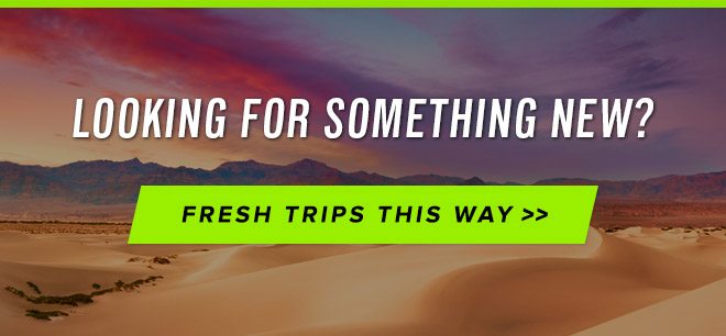 Looking for Something New? - Fresh Trips This Way