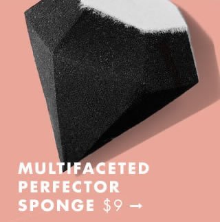 Multifaceted Perfector Sponge