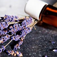 5 Essential Oils for Sleep, Backed by Science