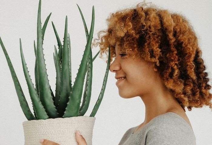 13 Natural Hair Influencers and Stylists Share Tips for Healthy