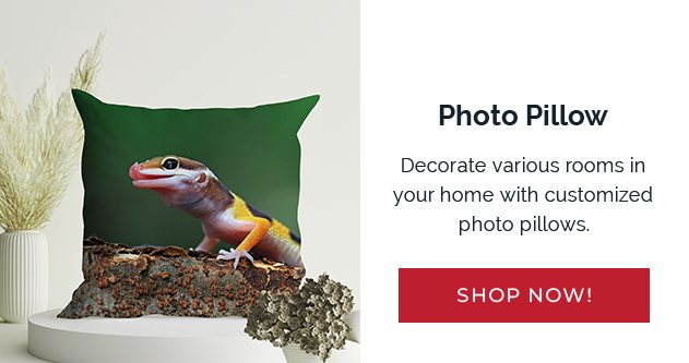 Photo Pillow