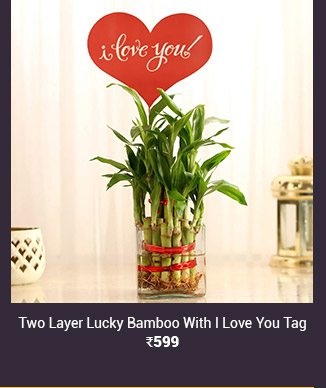 two-layer-lucky-bamboo-with-i-love-you-tag
