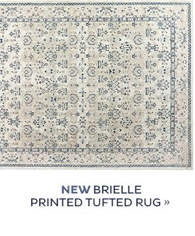 NEW Brielle Printed Tufted Rug