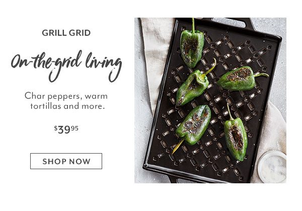 Grill Grid