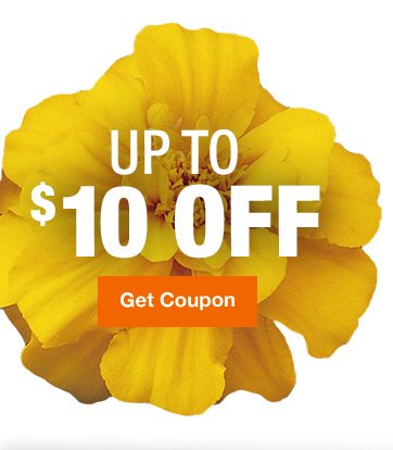 $5 off $50, $10 off $100