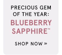 Shop Blueberry Sapphire