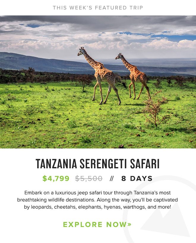 Embark on a luxurious jeep safari tour through Tanzania’s most breathtaking wildlife destinations. Along the way, you'll be captivated by leopards, cheetahs, elephants, hyenas, warthogs, and more!