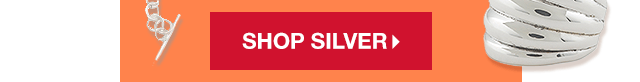 Shop Silver