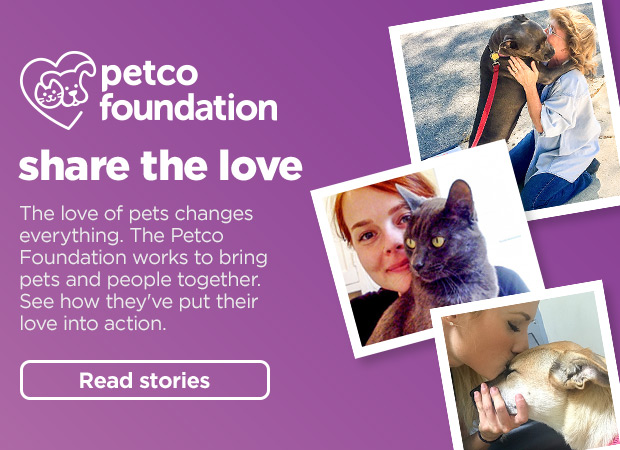 Petco Foundation. Share the love. The love of pets changes everything. The Petco Foundation works to bring pets and people together. See how they've put their love into action. Read stories