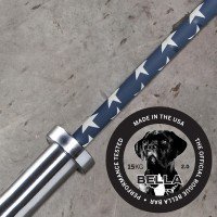 Rogue 25MM Freedom Bar
