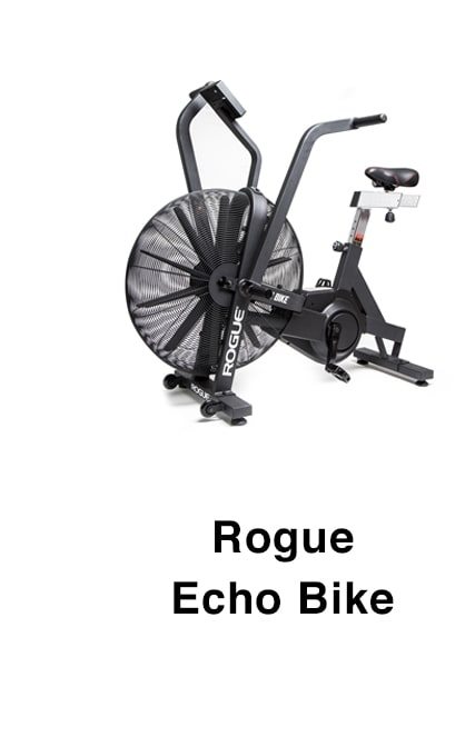 Rogue Echo Bike