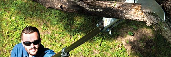 Clean up your trees and mid-summer overgrowth