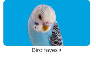 Bird faves.