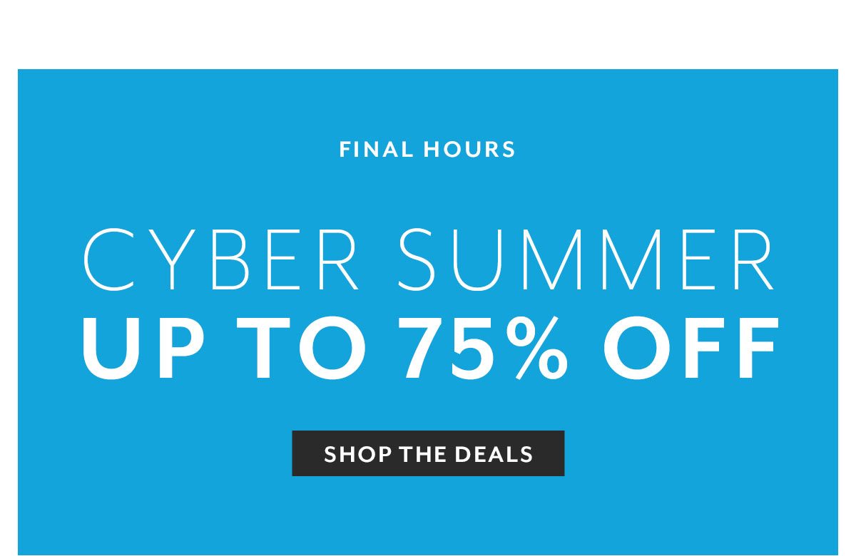 Cyber Summer • Final Hours