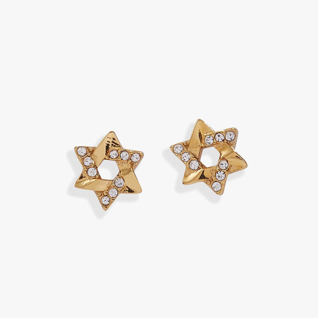 Image of Star of David Mini Stud Earrings