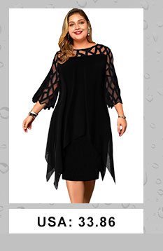 Mesh Panel Layered Round Neck Plus Size Dress