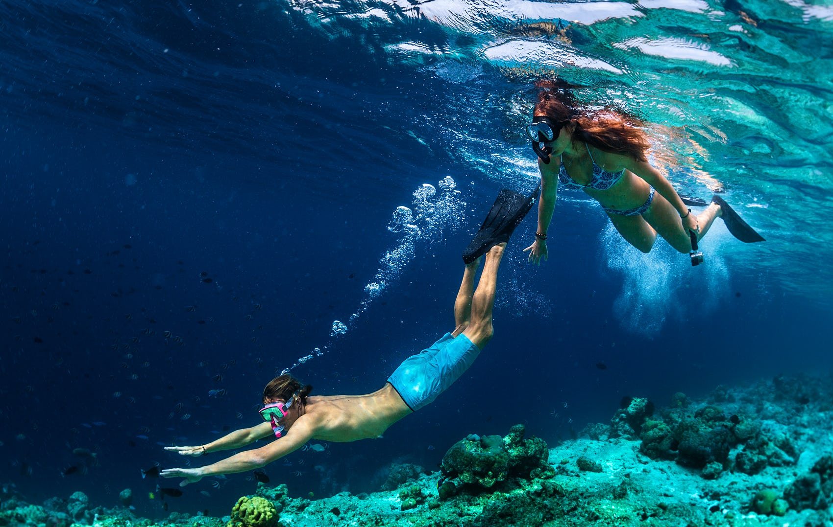 Two snorklers