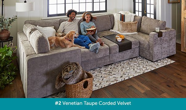 #2 Venetian Taupe Corded Velvet