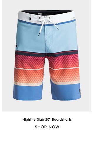 Product 2 - Highline Slab 20 In Boardshorts