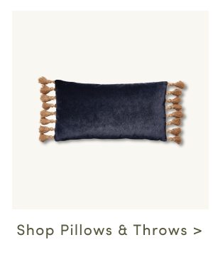 Shop Pillows & Throws