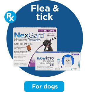 Flea & tick. For dogs.