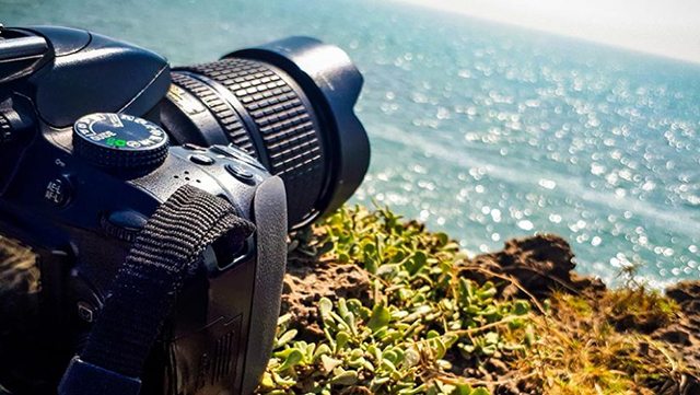 8 Best Nikon Lenses for Your Nikon DSLR