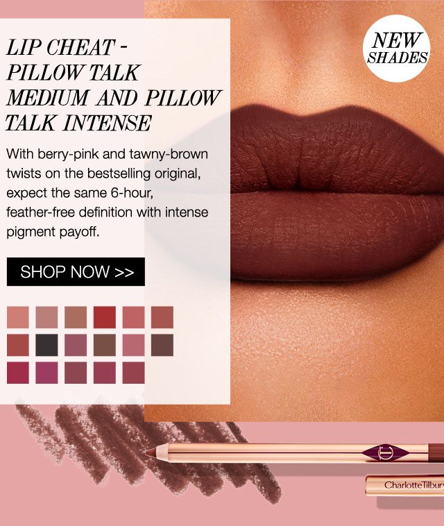 Lip Cheat - Pillow Talk Medium and Pillow Talk Intense