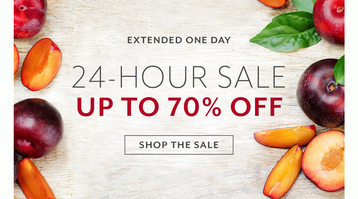 Extended One Day • 24-Hour Sale