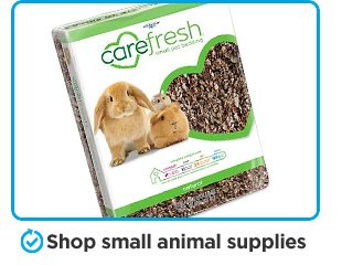 Shop small animal supplies.