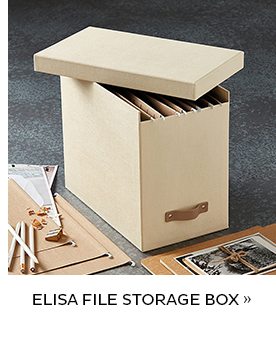 Eliza File Storage Box