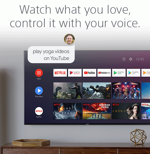 Watch what you love, control it with your voice. Turn on images for a look at Google Assistant in action